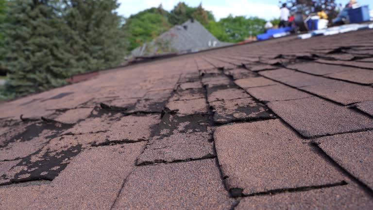 Best Wood Shake Roofing  in USA